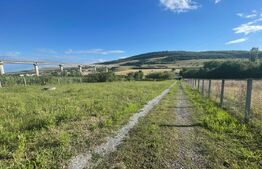 Teren intravilan, 3567 mp, Feleacu 