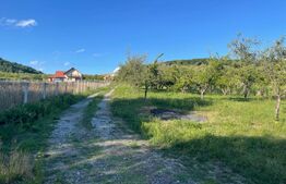 Teren intravilan, 3567 mp, Feleacu 