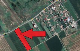 Teren intravilan, 5800 mp, 24 ml front la drumul asfaltat, comuna Luna