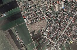 Teren de 600 mp intravilan cu toate utilitatile