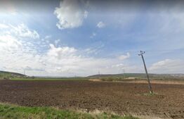 Oportunitate! Teren 5800 mp cu front de 133 ml la drum asfaltat in Apahida