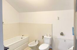 Casă individuală, finisată, 4 camere, 407 mp teren, Jucu