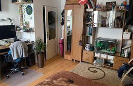 Apartament 1 Camera, 40mp, balcon, parcare, zona Marasti