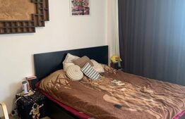 Apartament 1 Camera, 40mp, balcon, parcare, zona Marasti