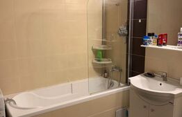 Apartament 1 Camera, 40mp, balcon, parcare, zona Marasti