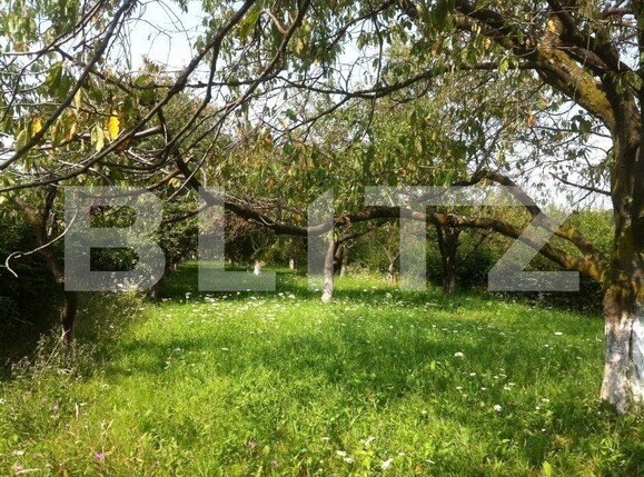 Teren de vânzare Rasnov - 150471TV | BLITZ Brașov | Poza2