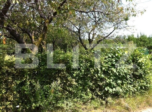 Teren de vânzare Rasnov - 150471TV | BLITZ Brașov | Poza1