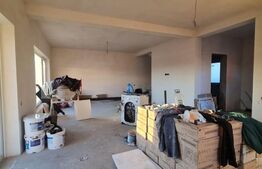 Duplex 110 mp utili, 300 mp teren, orientare sudică, Dezmir