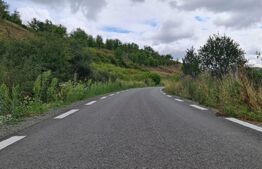 Teren de 3000 mp, front de 100 , Radaia