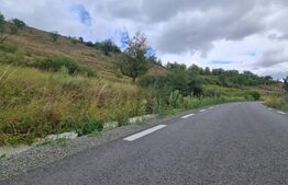 Teren de 3000 mp, front de 100 , Radaia