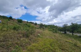 Teren de 3000 mp, front de 100 , Radaia