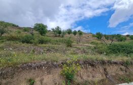 Teren de 3000 mp, front de 100 , Radaia