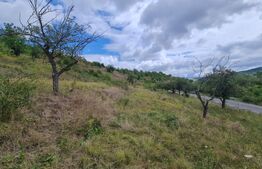 Teren de 3000 mp, front de 100 , Radaia