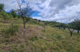 Teren de 3000 mp, front de 100 , Radaia