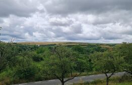 Teren de 3000 mp, front de 100 , Radaia