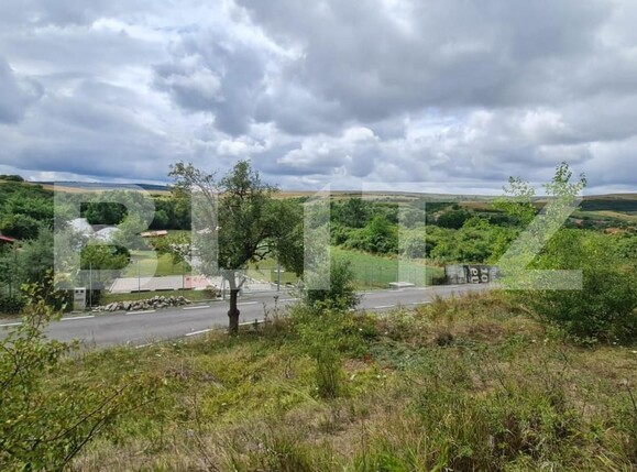 Teren de vânzare Radaia - 150524TV | BLITZ Cluj-Napoca | Poza8