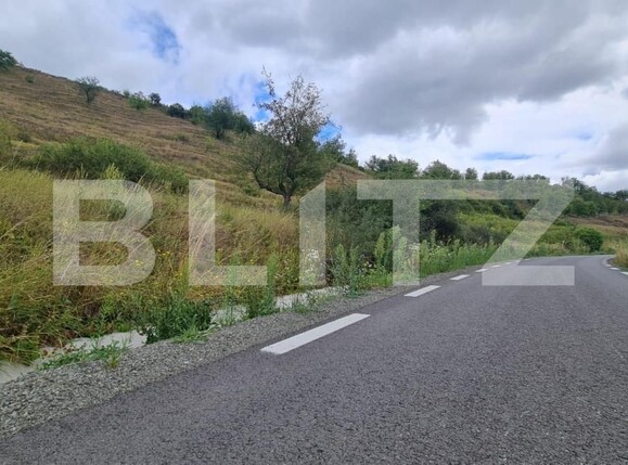 Teren de vânzare Radaia - 150524TV | BLITZ Cluj-Napoca | Poza10