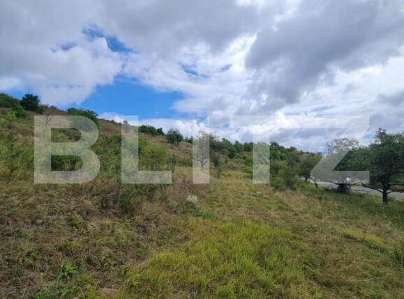 Teren de vânzare Radaia - 150524TV | BLITZ Cluj-Napoca | Poza9