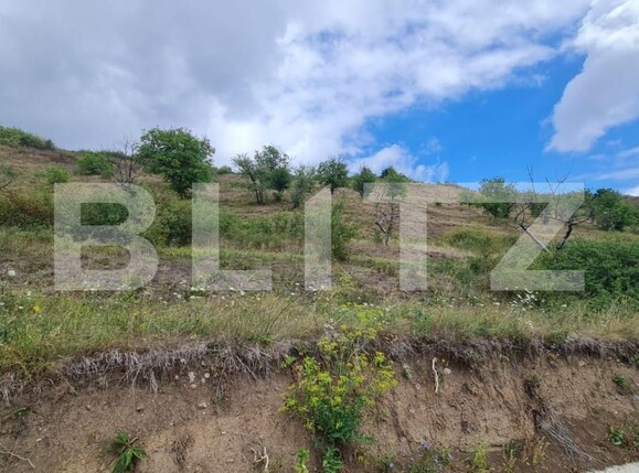 Teren de vânzare Radaia - 150524TV | BLITZ Cluj-Napoca | Poza7