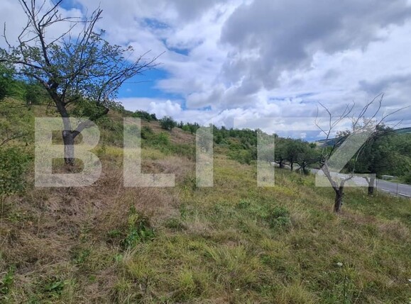 Teren de vânzare Radaia - 150524TV | BLITZ Cluj-Napoca | Poza5