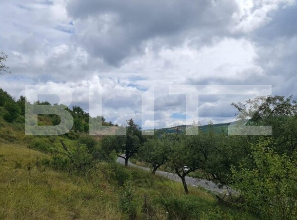 Teren de vânzare Radaia - 150524TV | BLITZ Cluj-Napoca | Poza3