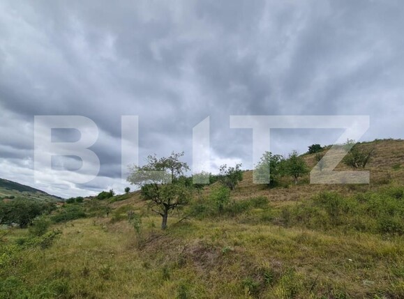 Teren de vânzare Radaia - 150524TV | BLITZ Cluj-Napoca | Poza4