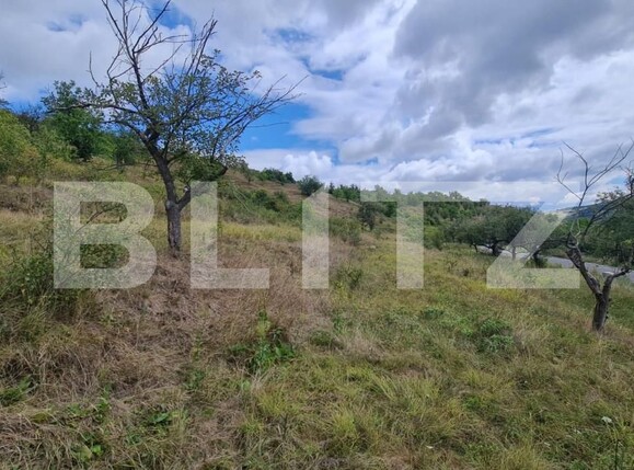 Teren de vânzare Radaia - 150524TV | BLITZ Cluj-Napoca | Poza12