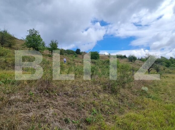 Teren de vânzare Radaia - 150524TV | BLITZ Cluj-Napoca | Poza11