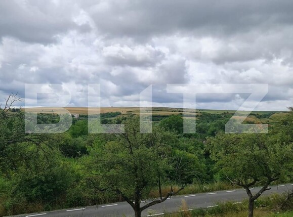 Teren de vânzare Radaia - 150524TV | BLITZ Cluj-Napoca | Poza6