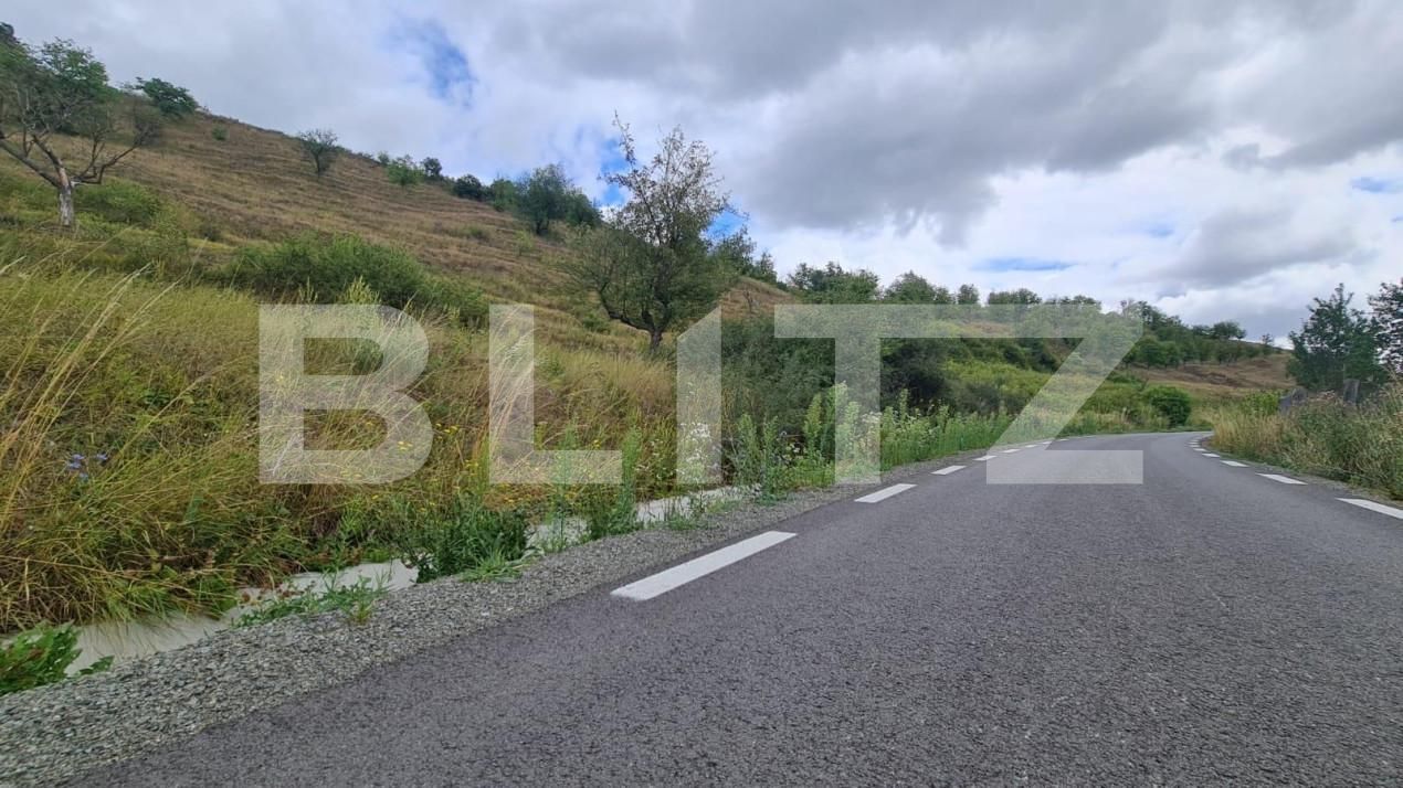 Teren de vânzare Radaia - 150524TV | BLITZ Cluj-Napoca | Poza10