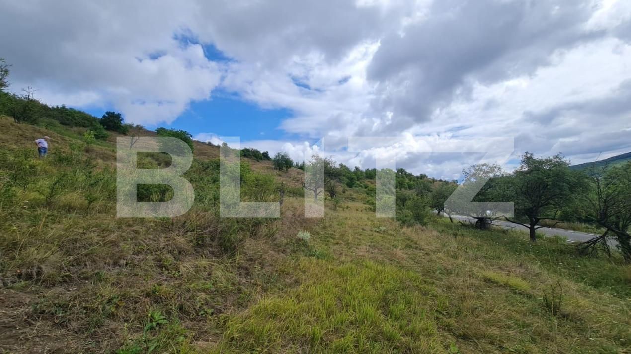 Teren de vânzare Radaia - 150524TV | BLITZ Cluj-Napoca | Poza9