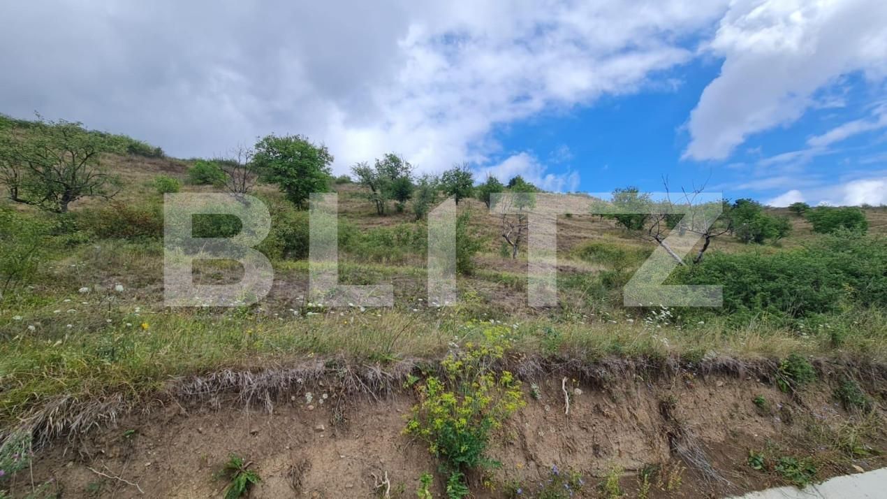 Teren de vânzare Radaia - 150524TV | BLITZ Cluj-Napoca | Poza7