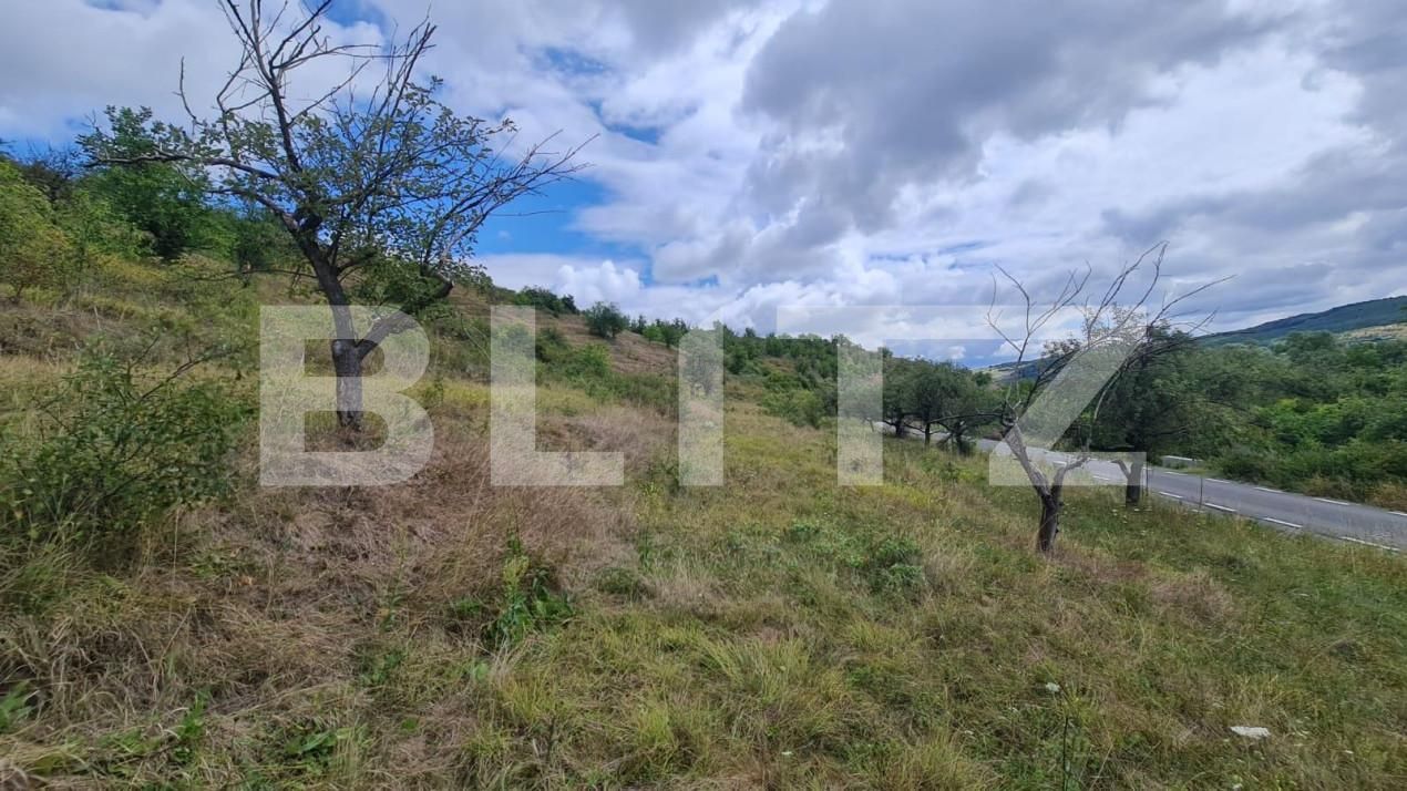 Teren de vânzare Radaia - 150524TV | BLITZ Cluj-Napoca | Poza5