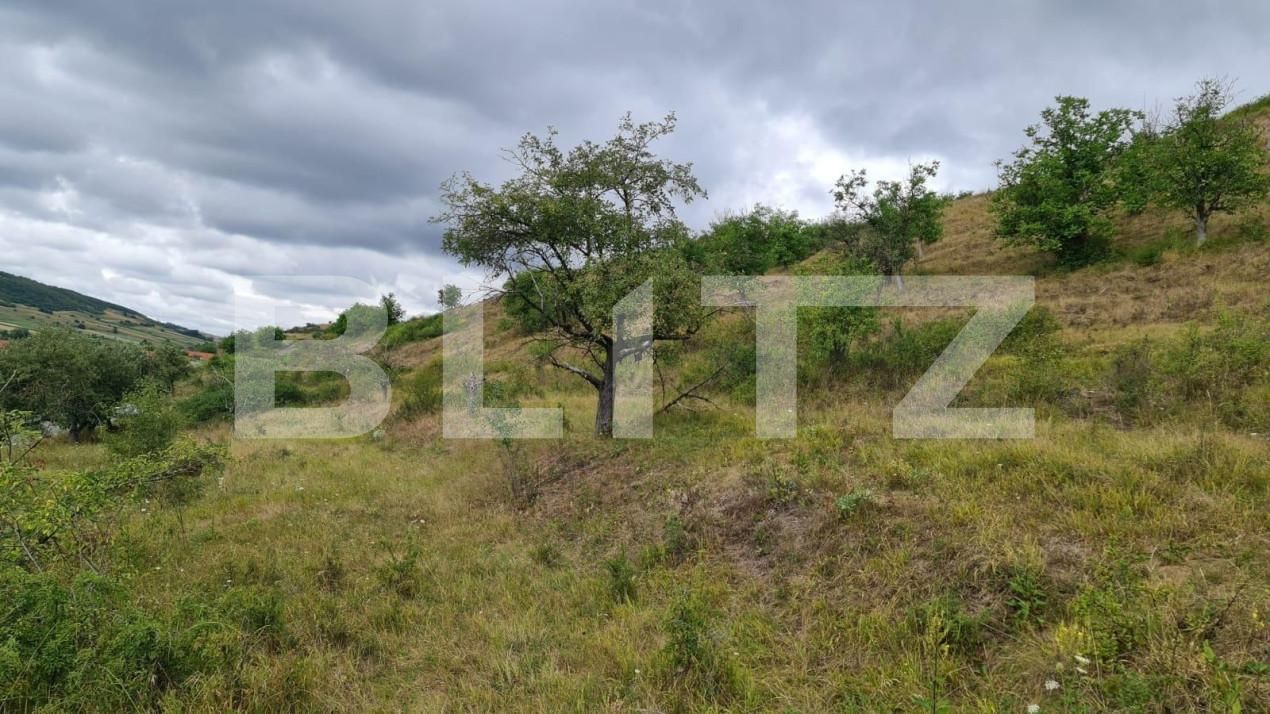 Teren de vânzare Radaia - 150524TV | BLITZ Cluj-Napoca | Poza2