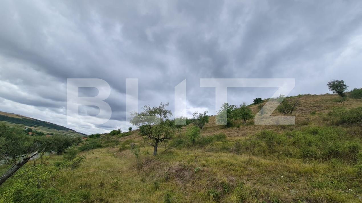 Teren de vânzare Radaia - 150524TV | BLITZ Cluj-Napoca | Poza4