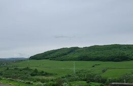  Casa individuala 4 camere si piscina exterioara in Popesti 
