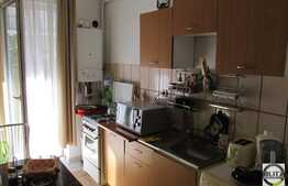 De vanzare 1 camera, 32 mp utili, cu gradina de 36 mp