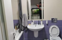 Inchiriere apartament 2 camere, TopCity-Tractorul