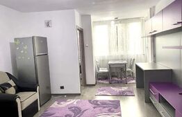 Garsoniera decomandata, recent renovat, 35mp, zona Iulius Mall, Pet Friendly