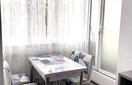 Garsoniera decomandata, recent renovat, 35mp, zona Iulius Mall, Pet Friendly