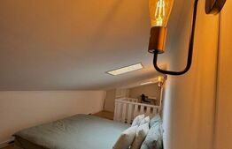 Apartament de lux de 3 camere cu scara interioara in zona Teilor