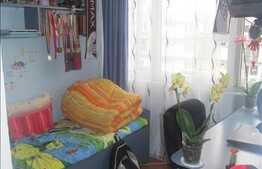 De vanzare apartament 1 camera, 32 mp, mobilat complet, zona Big