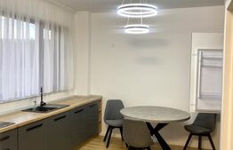 Casa tip Duplex 4 camere, mobilat modern, parcare,grădină, 135mp , zona Borhanci