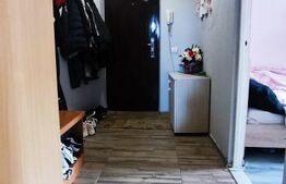 Apartament 2 camere, 43mp, balcon, zona Stejarului