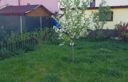 Casa tip duplex, 4 camere, 290 mp de teren, zona Terra