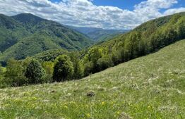 Intravilan de vânzare în Satul Plopi, se poate parcela Comuna Valea Ierii !