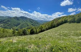 Intravilan de vânzare în Satul Plopi, se poate parcela Comuna Valea Ierii !