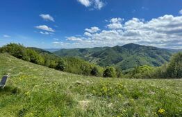 Intravilan de vânzare în Satul Plopi, se poate parcela Comuna Valea Ierii !