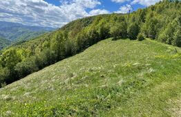 Intravilan de vânzare în Satul Plopi, se poate parcela Comuna Valea Ierii !