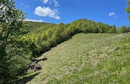 Intravilan de vânzare în Satul Plopi, se poate parcela Comuna Valea Ierii !